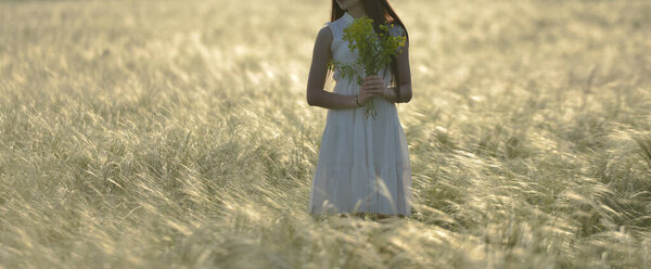 Grass in the summer in the field at sunset on a Sunny day a girl runs through the field collecting flowers