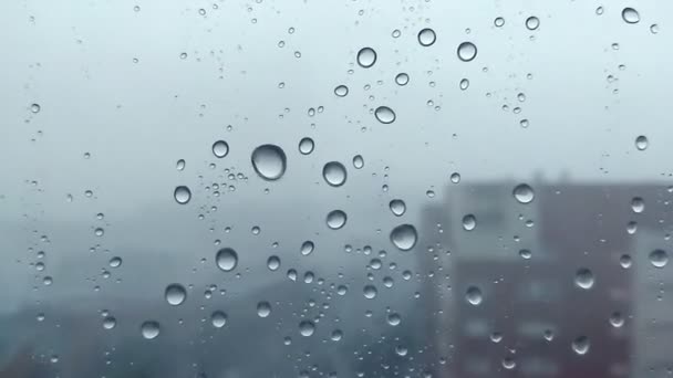 Lluvia Tormenta Cae Corriendo Sobre Cristal Ventana Durante Una Fuerte — Vídeo de stock