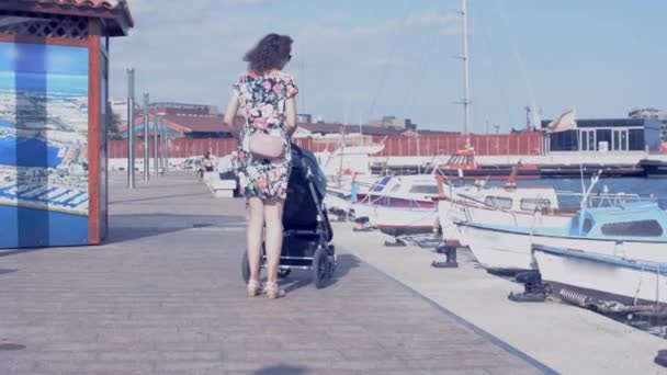 Mother strolling with newborn in the port — Stock Video