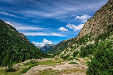 Çayırlar ve Aiguestortes Milli Parkı, Lleida, Pyrenees, Catalonia doruklarına görünümü