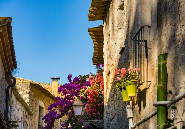 Old Street Sant Marti Empuries Wieś Costa Brava Catalonia Ból — Zdjęcie stockowe