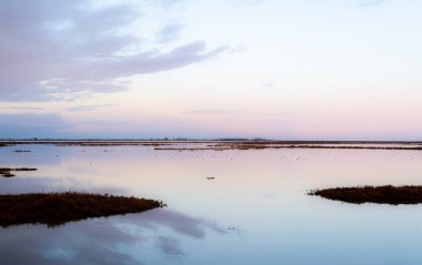 Günbatımı Delta del Ebro doğal Park, Tarragona, Catalunya, İspanya