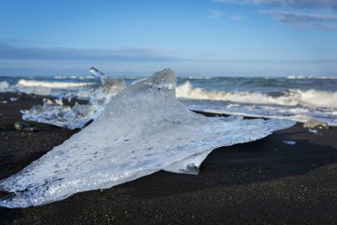 siyah kum üzerinde küçük buz bloğu bir sahilin yanında jokulsarlon, İzlanda