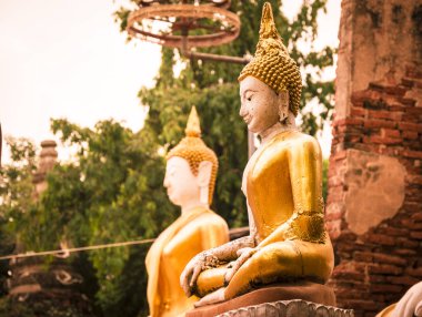 Buda wat phu khao tanga içinde oturmuş. Ayutthaya, Tayland.