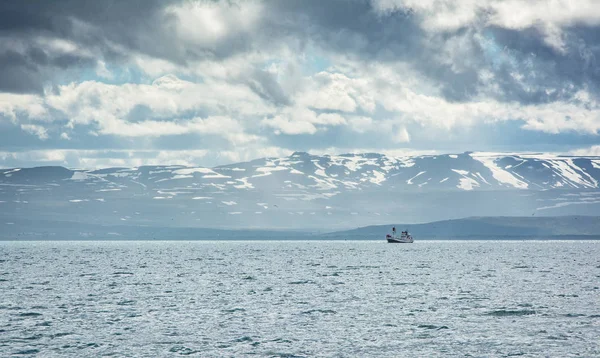 Navio de observação de baleias em águas abertas em Husavik, Islândia . — Fotografia de Stock