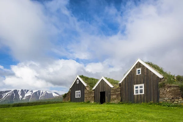 Traditional Icelandic houses with grass roof Stock Image