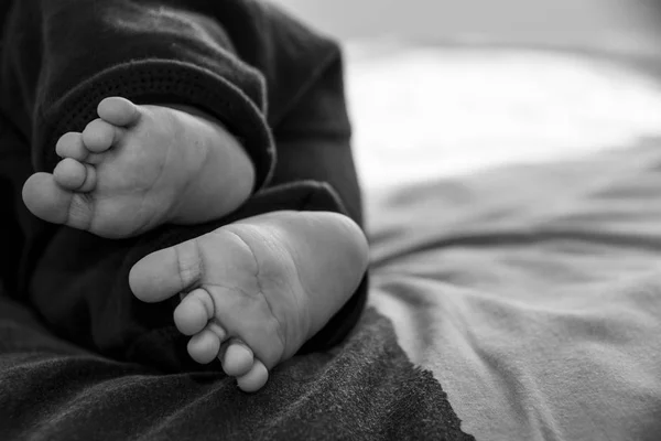 A close-up of tiny baby feet in black and white. — Stock Photo, Image