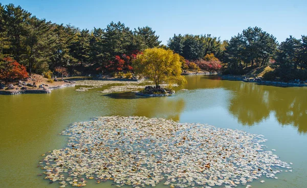 22 Haziran 2017 Donggung Sarayı ve Wolji gölet Gyeongju, Güney Kore - ünlü turizm — Stok fotoğraf