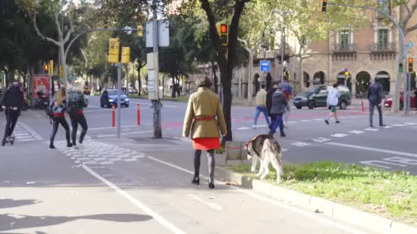 Ένα άτομο ιππασίας ένα ηλεκτρικό σκούτερ σε έναν δρόμο της Βαρκελώνης. — Αρχείο Βίντεο