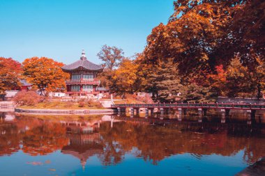 Deniz mavisi ve turuncu Terasımdan pagoda de sonbahar gyeongbokgung Sarayı Seul Güney Kore
