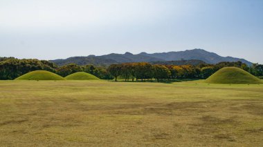 Tümülüsler Kraliyet mezarı sonbahar yaprakları backgroung. Gyeongju, Güney Kore