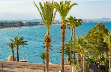 Palmiye ağacı bahçeleri Peniscola kalede. Castellon il. İspanya.