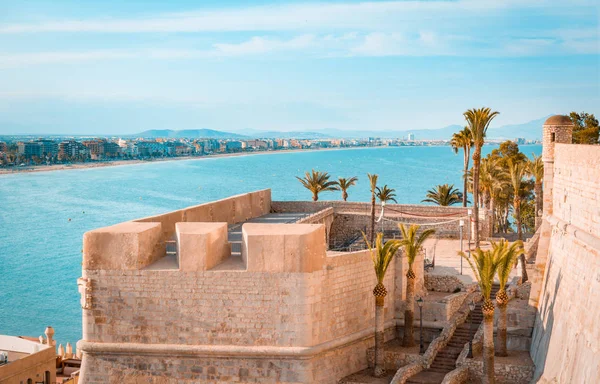 Jardins de palmeiras no castelo Peniscola. A província de Castellon. Espanha . — Fotografia de Stock