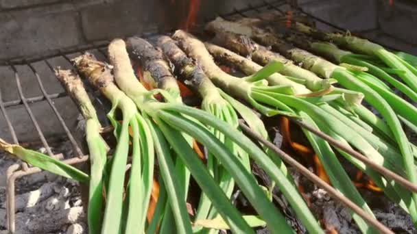 Closeup dari beberapa calcots, bawang manis khas Catalunya, yang dimasak dalam barbekyu — Stok Video