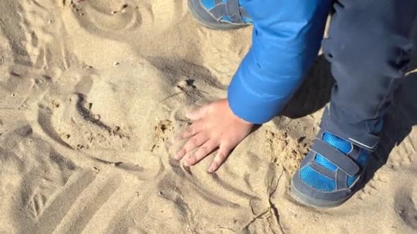 Enfant jouant avec le sable, Gros plan de ses petites mains — Video