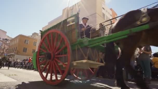 Reus, España. Marzo 2019: Caballos, burros y mulas tirando de autocares por el centro de la ciudad en la cabalgata del festival Las Tres Tumbas — Vídeos de Stock