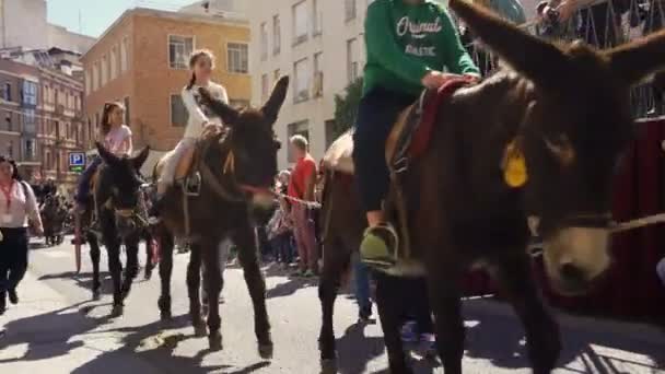 Reus, España. Marzo 2019: Caballos, burros y mulas tirando de autocares por el centro de la ciudad en la cabalgata del festival Las Tres Tumbas — Vídeos de Stock