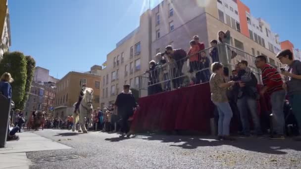 Reus, Spanje. Maart 2019: Witte Percheron zware paard rond het centrum van de stad in de Tres graven festival cavalcade — Stockvideo