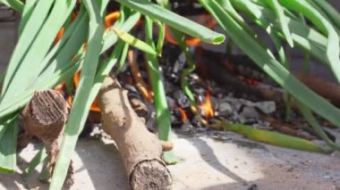 bazı calcots, tatlı soğan Katalonya, tipik bir Barbekü ortasında pişirildikten closeup