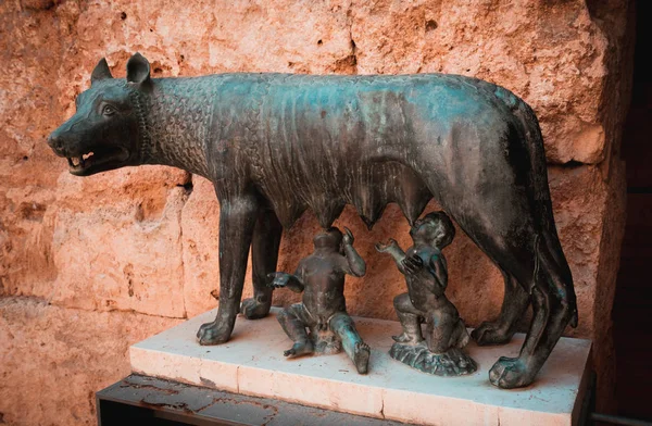 W starożytnej Tarraco Wilk Kapitolińskie. Tarragona, Hiszpania — Zdjęcie stockowe