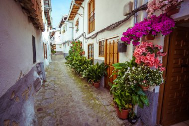 Street full of flowerpots on the floor and the walls, in Spain clipart