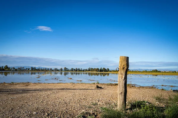 Campo de arroz con arroz en el delta del Ebro, España. Reflejo de agua cielo azul — Foto de Stock