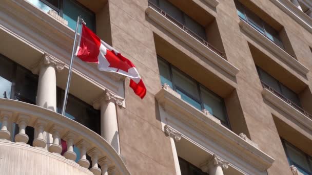 Bandera de Canadá ondeando en el viento. Rojo y Blanco, los colores de la Hoja de Arce — Vídeos de Stock