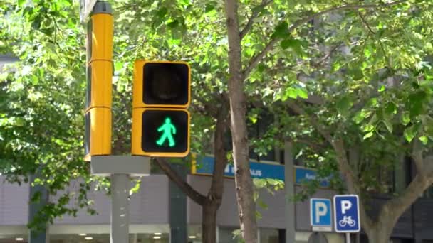 ランブラ・デ・カタルーニャの木、バルセロナの歩行者のための緑から赤色の信号 — ストック動画