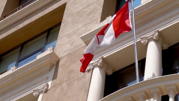 Bandera de Canadá ondeando en el viento. Rojo y Blanco, los colores de la Hoja de Arce — Vídeo de stock
