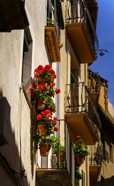 Macetas y flores en una pared blanca, Ciudad vieja europea — Foto de Stock