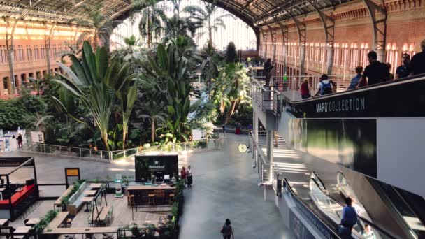 Madrid, Espagne, juin 2019 : Personnes entrant dans le jardin botanique à l'intérieur de la gare d'Atocha à Madrid, Espagne — Video