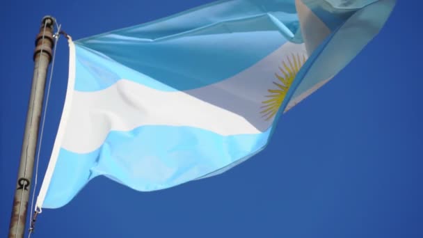 Аргентинский национальный флаг размахивает медленным движением — стоковое видео
