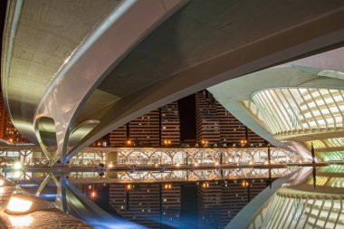 Valencia, İspanya. 10 Şubat: Sanat ve Bilimşehri gece manzarası.