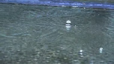 Sonbaharda yağmur suyu büyük su birikintisine düşüyor