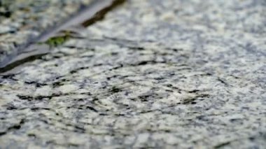 Sonbahar yağmur suyu büyük kabarcıklar oluşturan sokakta düşen damla