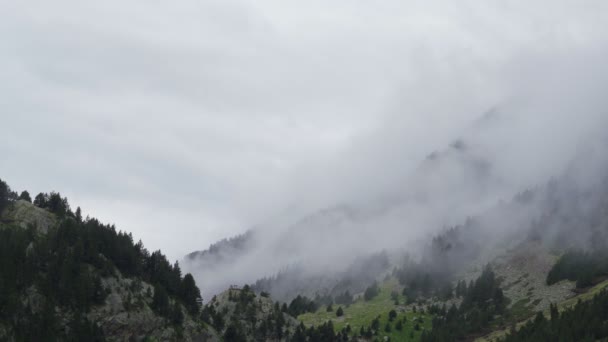 Timelapse vista de la niebla a través de los altos Pirineos bosque de montaña que cubre los árboles . — Vídeos de Stock