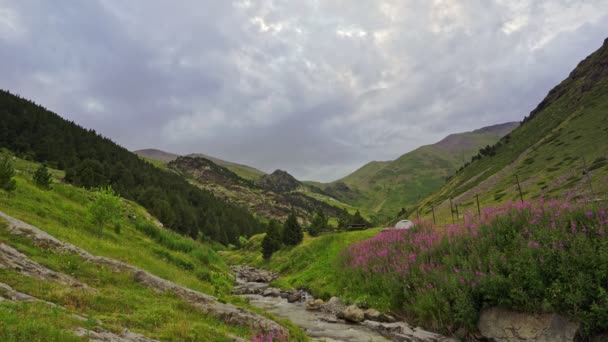 Wysoki strumień wody górskiej w hiszpańskich Pirenejach timelapse — Wideo stockowe
