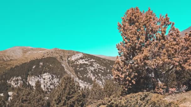 Vysoké hory, údolí Vall de Nuria v horských Pyreneesech Španělska. Šedozelená a oranžová zobrazení — Stock video