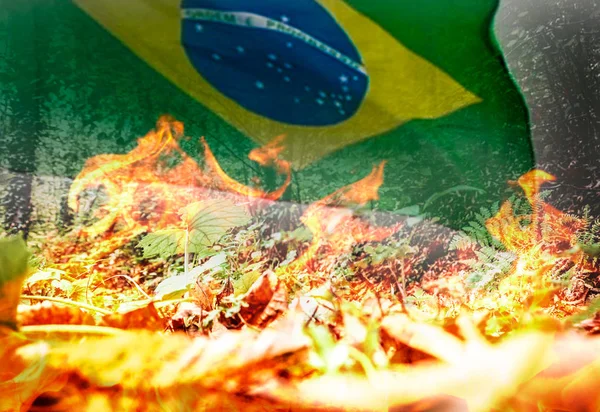 Incendios forestales tropicales furiosos y peligrosos y bandera brasileña - compuesto digital . —  Fotos de Stock