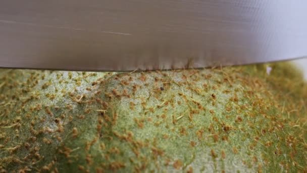 Macro view of kiwi being cutted with a knife — ストック動画