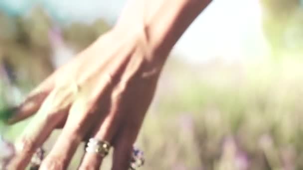 Slo Mo Mulher andando no campo de lavanda — Vídeo de Stock