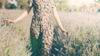 Lavanta tarlasında ağır ağır yürüyen kadın.