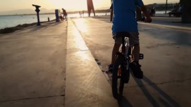 Silhouet van een jongen op de fiets tijdens zonsondergang. Slow motion weergave — Stockvideo