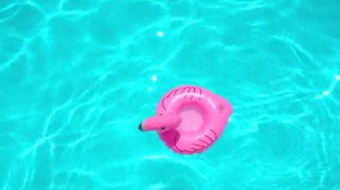 Flamingo Şekli Şişirilebilir Yüzük Güneşli Gün boyunca Yüzme Havuzu 'nda Yüzüyor