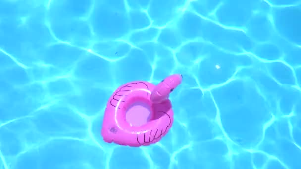 阳光明媚的时候，火烈鸟形状的扁平环漂浮在游泳池上 — 图库视频影像