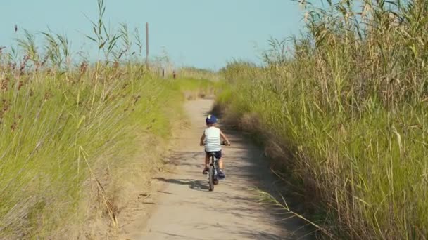 Kind fährt Fahrrad auf einer Straße voller Schilf im Delta del Ebro, Spanien. — Stockvideo