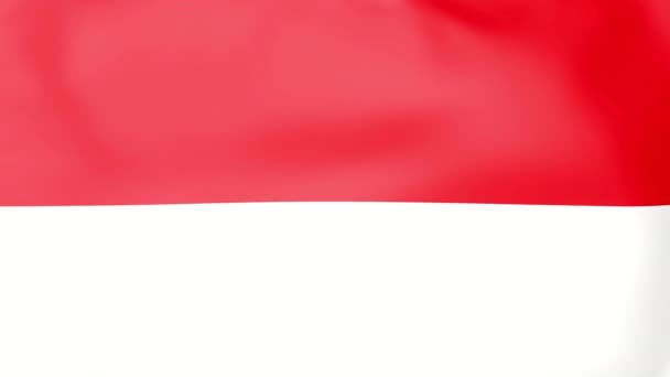 Indonesian national flag fluttering in the wind — Stock Video