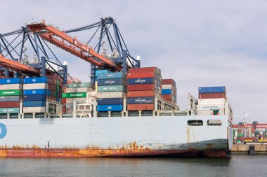 Rotterdam kargo gemileri ile konteyner terminali Hollandalı limanında demirlemiş