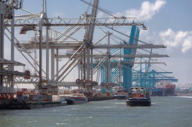 Konteyner terminali ile Hollandalı Harbor Rotterdam büyük Vinçler