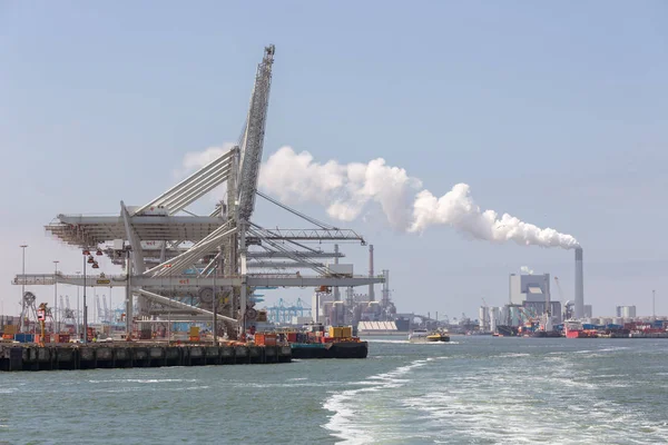 Terminal container con grandi gru nel porto olandese Rotterdam — Foto Stock